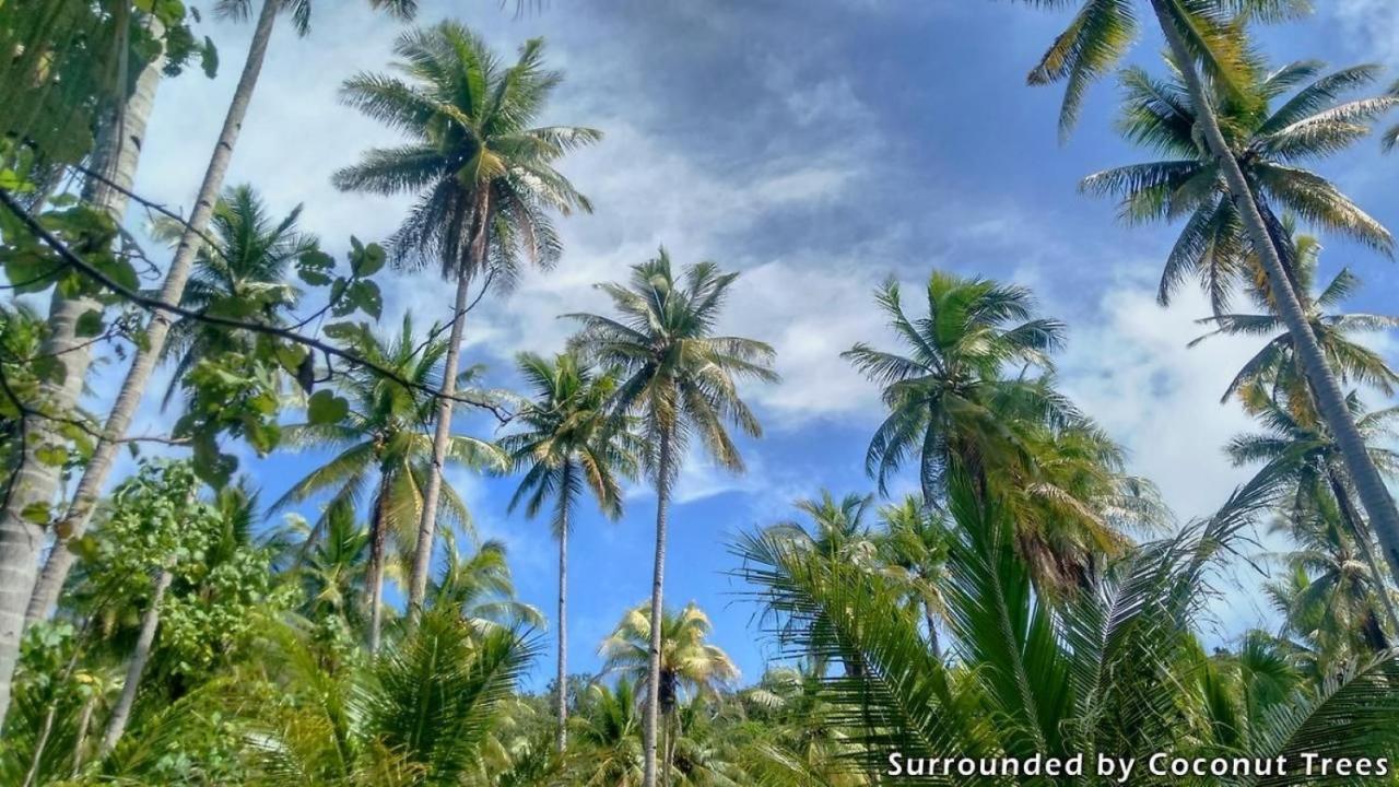 Mansuar Raja Ampat Bungalows Kri エクステリア 写真