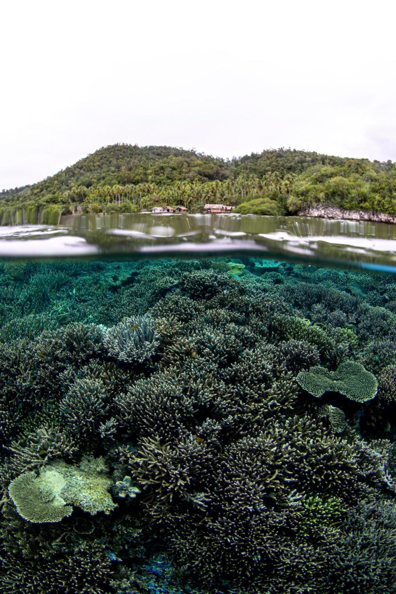 Mansuar Raja Ampat Bungalows Kri エクステリア 写真